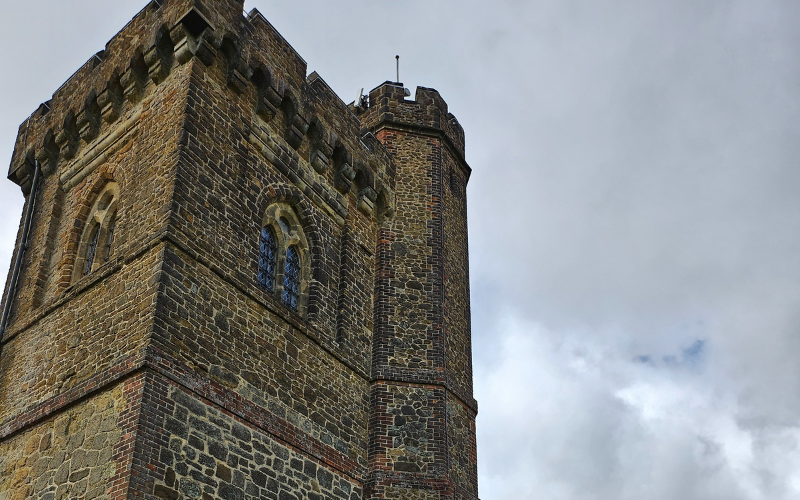 Highlights From Our Recent Walks