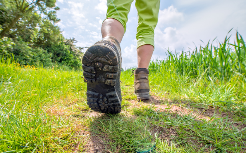 Summer Walk – Compton