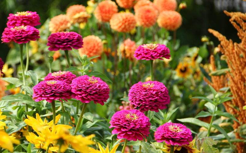 Visit to Loseley Park (rearranged from 9th August)
