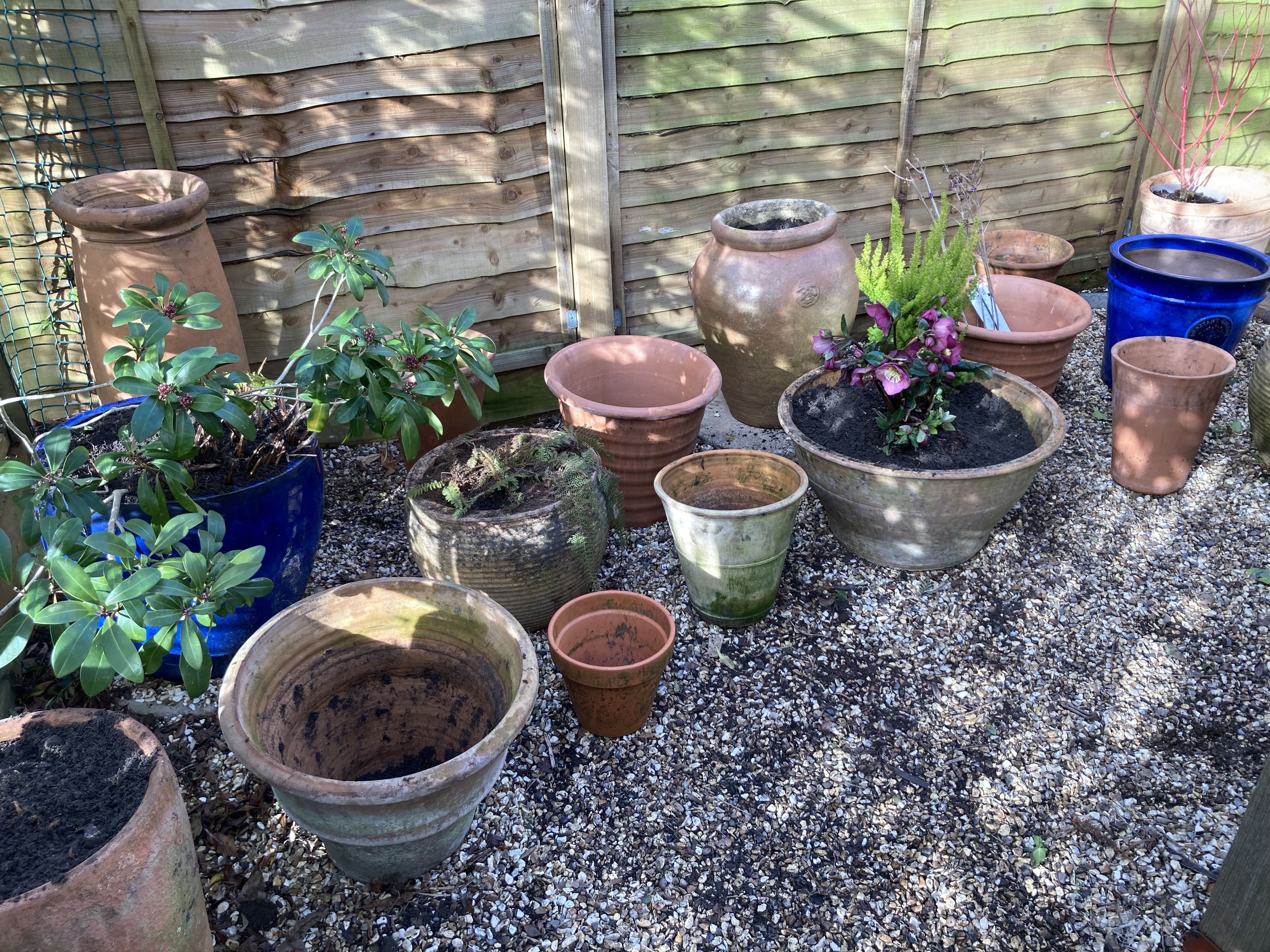 CHEAPER, GREENER, BETTER – saving energy & green gardening
